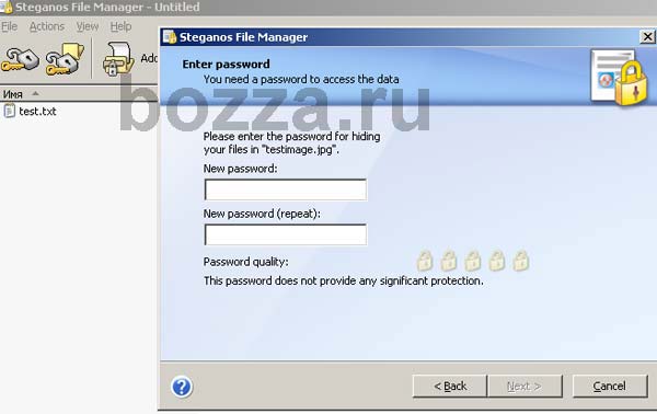 Стеганография: программа Steganos File Manager